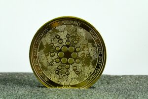 Cardano NFTs slump as users trade top-tier projects in favor of newer ones