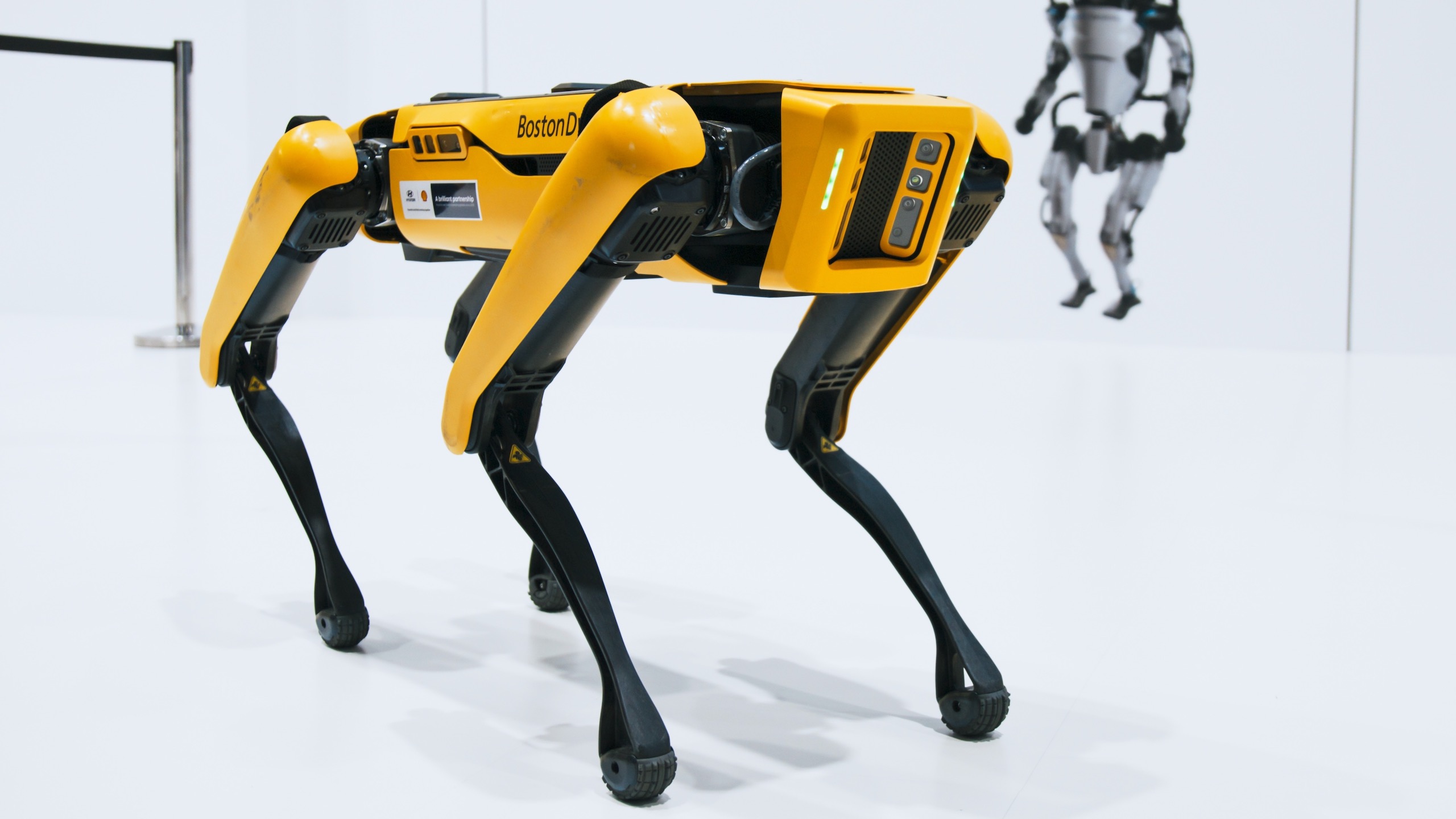 چیٹ جی پی ٹی روبوٹ میں سرایت کرتا ہے، انٹرنیٹ سے تہذیب کے خاتمے کا خدشہ ہے۔