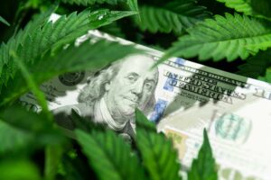 Colorado startet Kreditprogramm für Cannabis-Social-Equity-Unternehmen