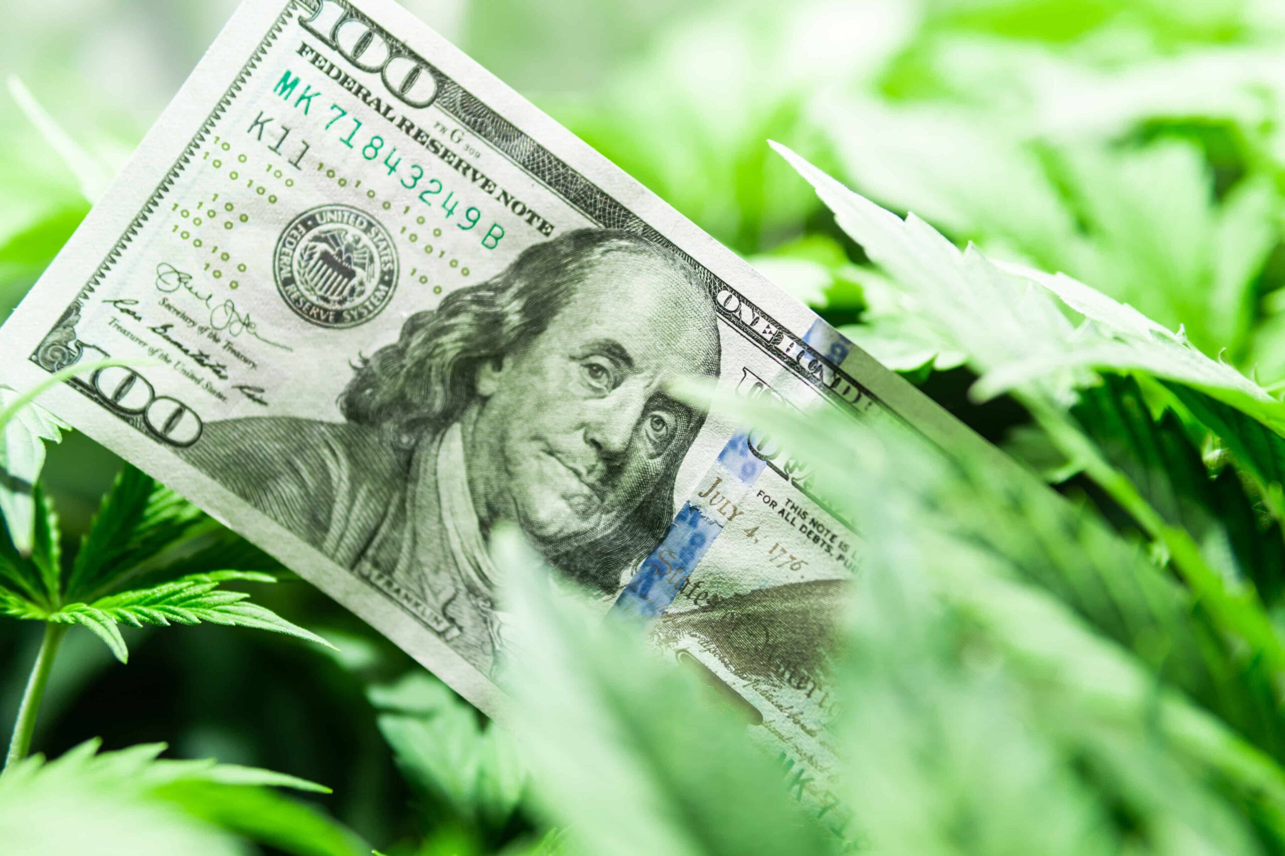 Connecticut Bill ville tillate statlig skattefradrag for cannabisbedrifter