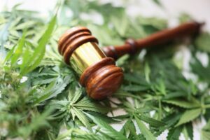 Aanklagers in Connecticut laten 1,500 cannabisaanklachten vallen
