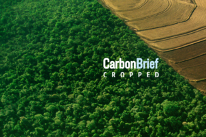 Cropped 5 April 2023: Carbon offsets scrutinised; UN water talks; IPCC beef and food fraud
