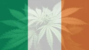 Dr. Hemp Me’s complete guide to CBD oil in Ireland