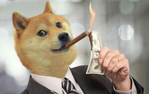 Адвокаты Илона Маска не говорят ничего противозаконного о твитах в поддержку Dogecoin