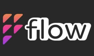 Flow سرمایه اولیه 3 میلیون دلاری را برای ایجاد یک اکوسیستم NFT متمرکز می کند
