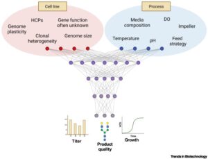 From observational to actionable: rethinking omics in biologics production