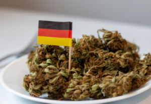 Niemcy przedstawiają szeroko zakrojony plan legalizacji marihuany