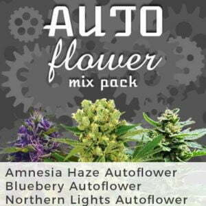 Auto Flower Mix Pack