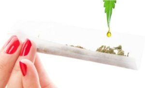 Hoe verbeteren geïnfuseerde pre-rolls je cannabiservaring?