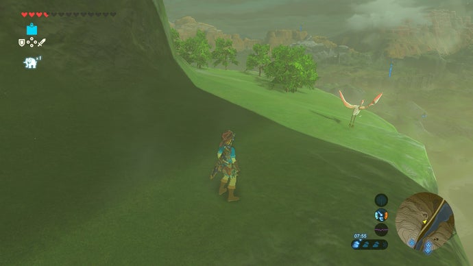 chim núi Zelda