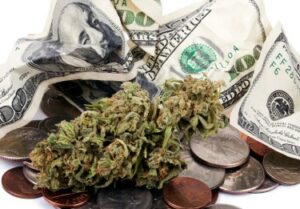 ¿Es caro cultivar marihuana? - ¿Cuánto cuesta cultivar cannabis en todo el país?