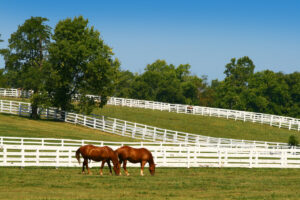 Apakah Lexington, KY Tempat yang Baik untuk Tinggal? 10 Kelebihan dan Kekurangan Ibukota Kuda Dunia