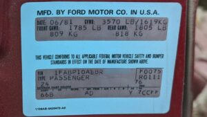 폐차장 보석: 1981 Ford Mustang Coupe