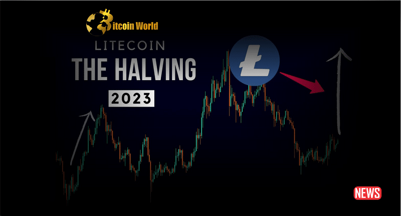 Litecoin Halving Just 100 Days Away, Will LTC Prices Recover?