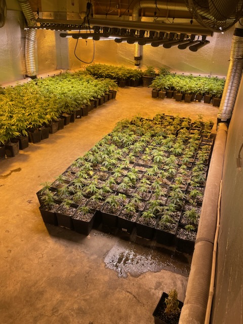 Die Polizei entdeckte 5,478 Marihuanapflanzen in einem Geschäftsgebäude in...