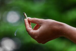 Avanços no Plano de Cannabis para Uso Adulto em Maryland