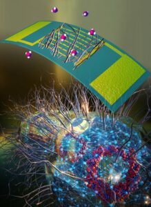 Mikrobien nanolangat luovat "elektronisen nenän" terveyden seurantaa varten