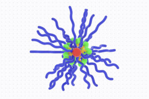 Nanoparticles provoke immune response against tumors but avoid side effects