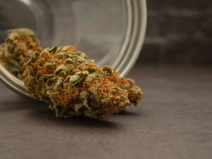 New Hampshire House Approves Cannabis Legalization Bill