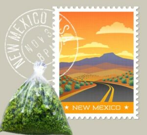 New Mexico, Bevölkerung 2.1 Millionen, übersteigt 300 Millionen US-Dollar an Freizeit-Cannabis-Verkäufen im ersten Jahr?