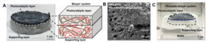 Nyudviklet hydrogel nanokomposit til masseproduktion af brint