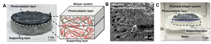 Nanokomposit hidrogel yang baru dikembangkan untuk produksi massal hidrogen