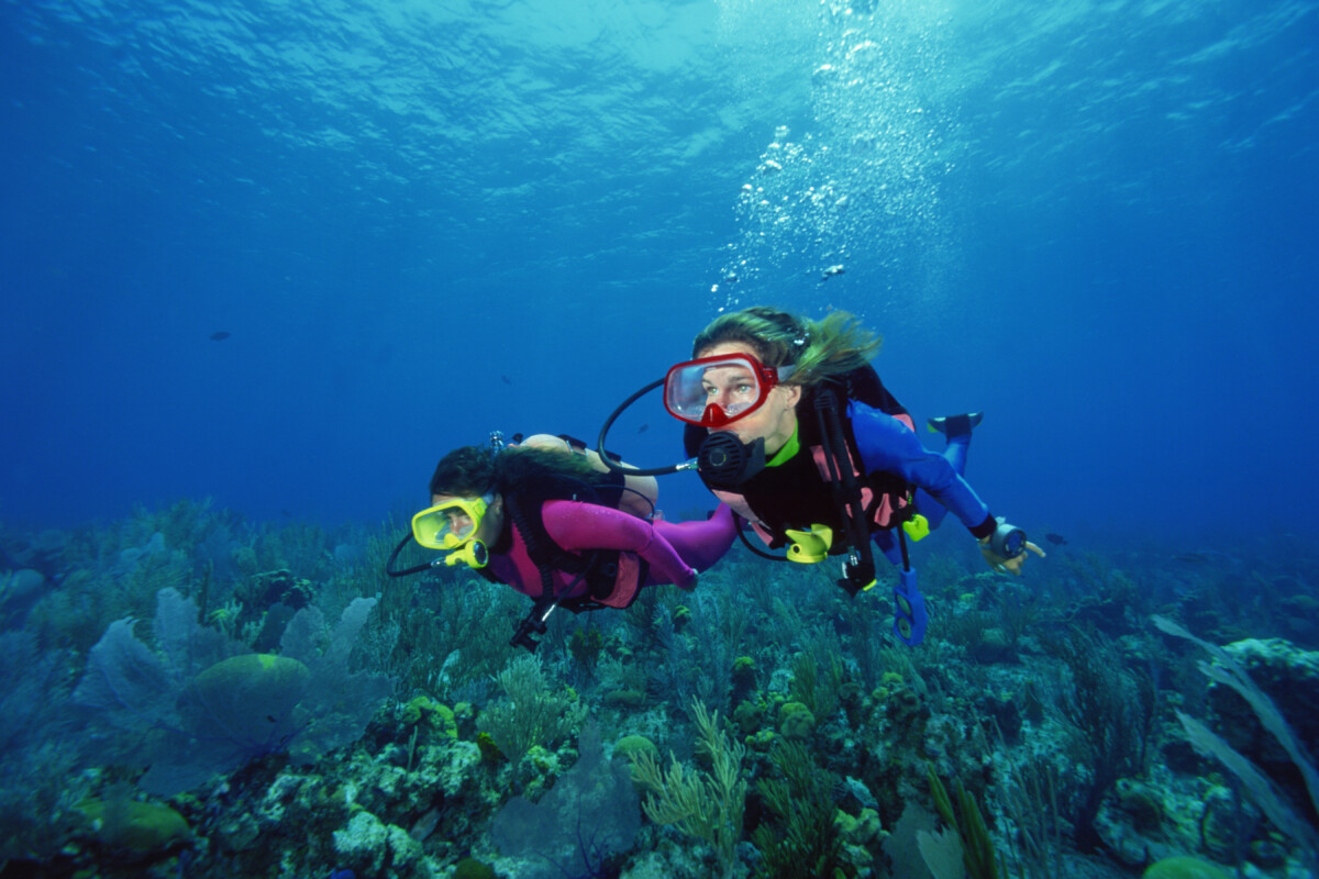 Divers in shallow reefs 