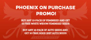 Phoenix Cannabis Seeds 10+10 Super Promoção!