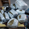 Sophia man held in Berbice with over 35 pounds of marijuana