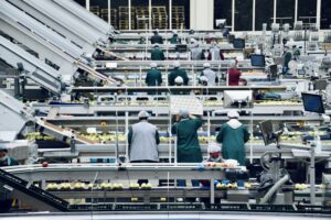 Supply Chain Automation: Den komplette guide