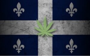 Vrhovno sodišče potrdilo prepoved domačega gojenja v Quebecu