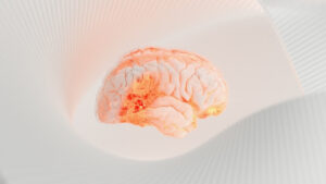جراحان کل مغز را شبیه سازی می کنند تا منبع تشنج بیماران خود را مشخص کنند.