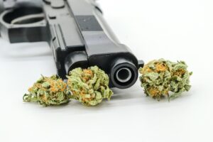 Texas Federal Court Rules Firearm Ban on MJ Users  Unconstitutional
