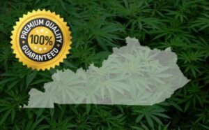 У рідному штаті Кентуккі імператора Зла Мітча Макконнелла легалізована медична марихуана