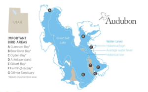 A extrema necessidade de regeneração do Grande Lago Salgado