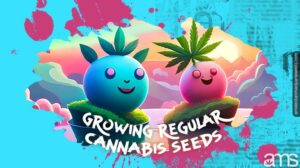 The Pros and Cons of Growing Regular Cannabis Seeds