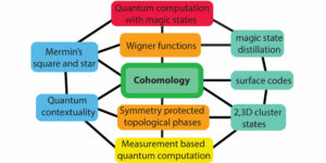The role of cohomology in quantum computation with magic states
