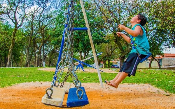 The Science of Playground Swings