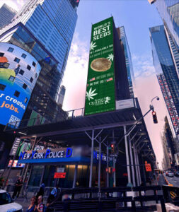 TIMES SQUARE להצגת הספירה לאחור ב-4/20 בניו יורק סיטי "קנאביס זה חוקי"