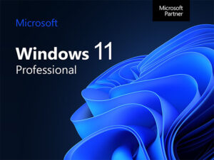 Opgrader til Windows 11 Pro for 75 % rabat