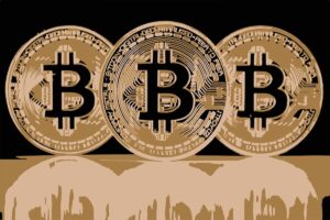 Várias carteiras Bitcoin disponíveis!