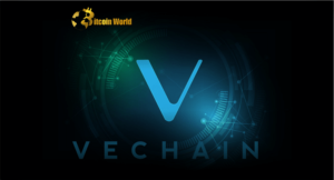 VeChain [VET] NFT 领域的动荡者——此次发布能否扭转局面