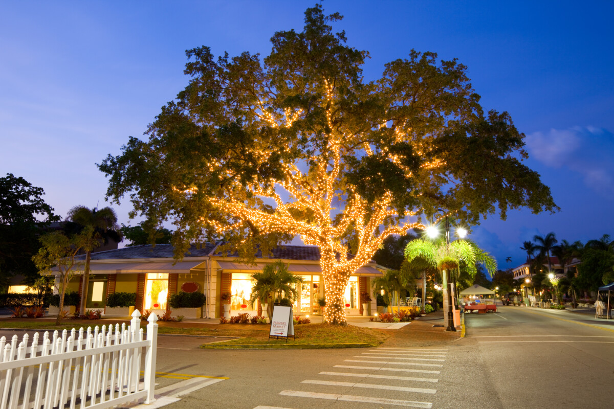 árbol con luces en Naples, Florida