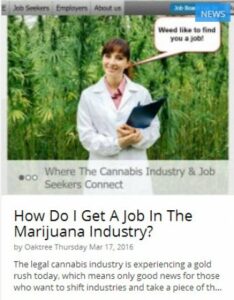 ¿A dónde fueron todos los trabajos de cannabis? - El informe de New Job muestra la primera contracción año tras año de la industria de la marihuana