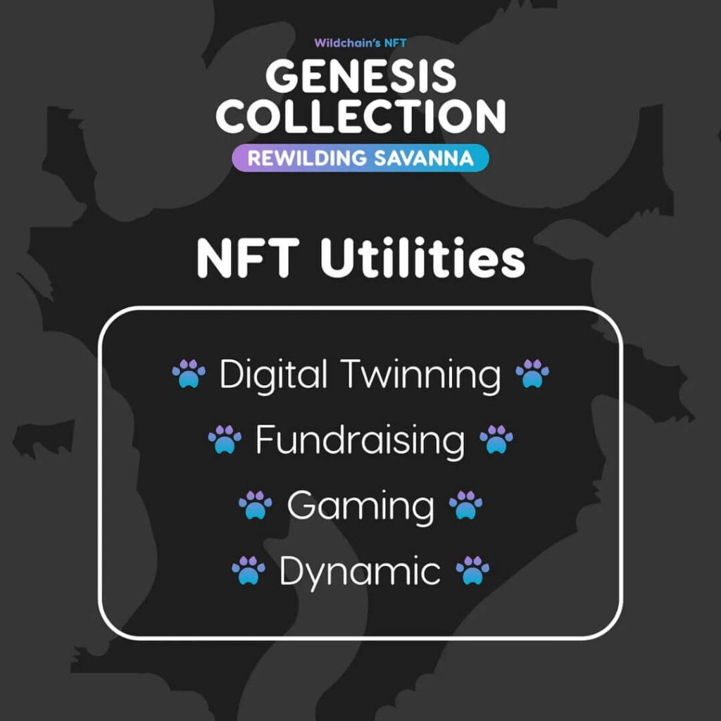 Wildchain NFT collection utilities