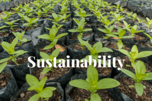5 Sustainable business practices to achieve net zero