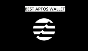 6 parasta Aptos-lompakkoa rahakkeiden tallentamiseen