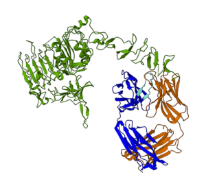 Accélérez la prédiction de la structure des protéines avec le modèle de langage ESMFold sur Amazon SageMaker | Services Web Amazon