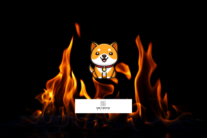 Команда Baby Doge оголошує про спалення 500 тис. монет Babydoge