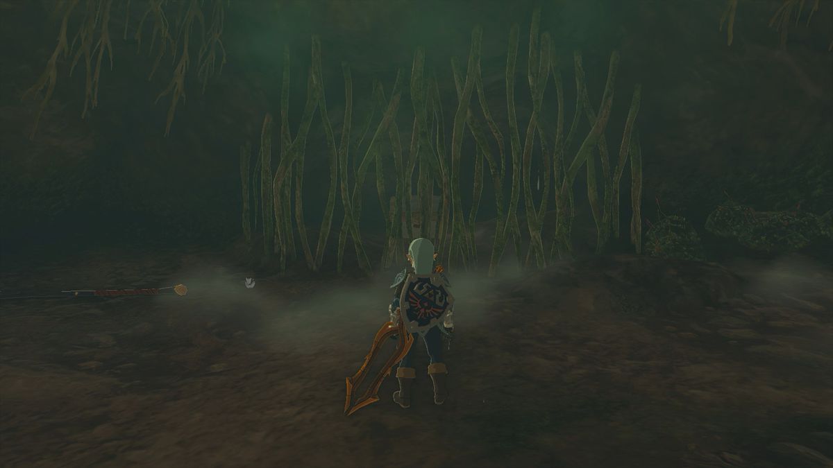 Chest hidden behind vines in the Mount Dunsel Cave in The Legend of Zelda: Tears of the Kingdom